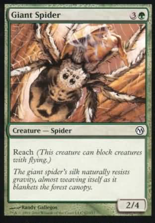 Araignée géante