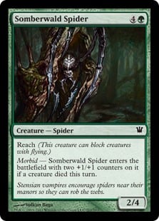 Araignée de Somberwald