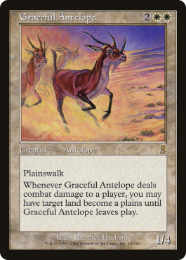 Antilope gracieuse