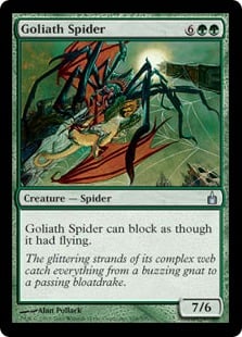 Araignée goliath