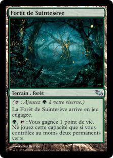 Forêt de Suintesève