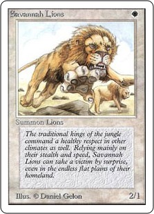 Lions des savanes